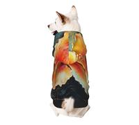 Wall Flowers Dog Hoodie – Soft & Breathable Polyester Pet Clothes for Small, Medium, and Large Dogs