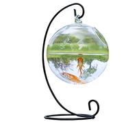 Wall for Tank with Stand Fish Homes Clear Plant Terrarium Fish Bowl for Tank Flower Plant Vase Clear Round Shape Sa Glass Bowls with Stand