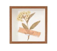 Wall Hanging Box | Transparent and Dustproof Wall Box - Display for Precious Objects - for Dried Flowers Postcards Photo Cards Souvenirs Couples Family Girlfriend