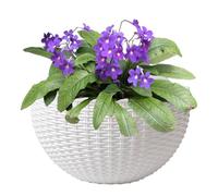 Wall Hanging Flower Pot, Imitation Rattan Semicircle Flower Pots, Wall Planter with Drainage Hole and Hooks, European-Style Imitation Rattan Woven Hanging Planter, for Balcony Fence