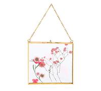 Wall Hanging Glass Frames for Pressed Flowers & Photos - Floating Frame (16x16cm)