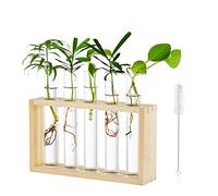Wall Hanging Glass Planter Propagation Station Modern Wall Mounted 5 Test Tube Flower Bud Vase in Wood Stand Rack Tabletop Terrarium for Hydroponic Plants Cuttings Office Home Decoration