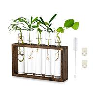 Wall Hanging Glass Planter Propagation Station Modern Wall Mounted 5 Test Tube Flower Bud Vase in Wood Stand Rack Tabletop Terrarium for Hydroponic Plants Cuttings Office Home Decoration