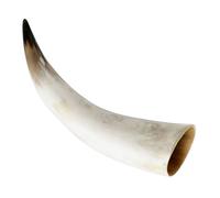Wall Hanging Horn Vase Craft in Cow Horn for Floral Display | Retro Rustic Style, Handcrafted Uniqueness, Smooth Natural Curves, for Shelves or Giftable Decor