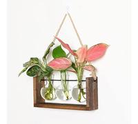 Wall Hanging Plant Propagation Station, Bulb Plants Terrarium with Wooden Stand, Desktop Retro Plant Terrarium Bulb Vase for Indoor Hydroponic Flowers Hydroponic Indoor Planter Home Office Decor