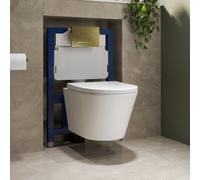 Wall Hung Rimless Toilet with Soft Close Seat Brushed Brass Pneumatic Flush Plate 820mm Frame & Cistern Newport