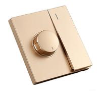 Wall Light Switch,2 Way Light Switc,With Ceiling Fan Speed Control,Cold-Pressed Steel Fra-m,Facilitating SimplePC Material(Gold)