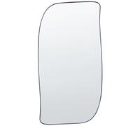 Wall Mirror MONTCLUS 37 cm 70 cm Metal Black