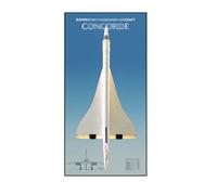 Wall Mount Display Stand for Le-go-o Technic 10318 Concorde - Display Wall Panel Art Wall Mount Frame Compatible with Le-go-a 10318, Gift for Enthusiasts - 115 x 50 cm (Basics,B)