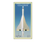Wall Mount Display Stand for Le-go-o Technic 10318 Concorde - Display Wall Panel Art Wall Mount Frame Compatible with Le-go-a 10318, Gift for Enthusiasts - 115 x 50 cm (Light,B)