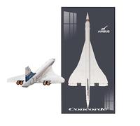Wall Mount Display Stand for Lego Technic 10318 Concorde - Display Wall Panel Art Wall Mount Frame Compatible with Lego 10318, Ideal Gift for Car Enthusiasts - 80 x 50 cm (10318 C)