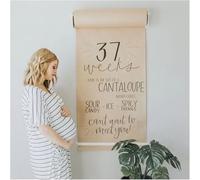 Wall Mount Note Paper Dispenser & Kraft Paper Roll Display Stand, Cutter with 50M Long Paper Roll