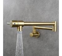 Wall Mount Pot Filler Faucet, Single Cold Water Kitchen Tap with Double Joint Nozzle, 360 Swivel Dual Lever Mixer, for Filling Pots on Stove