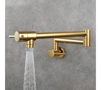 Wall Mount Pot Filler Faucet, Single Cold Water Kitchen Tap with Double Joint Nozzle, 360 Swivel Dual Lever Mixer, for Filling Pots on Stove