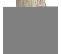 Wall Mounted Bird Bath - Acrylic Bird Bath, Bowl for Balcony Fences, Easy to Assemble Bird Bath for Trees in the Backyard, 9 Inch Basin in Transparent Flower Design for Perches