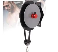 Wall-mounted Eccentric Flywheel Training Equipment, Multi-Exercise Gym Workout Station, Variable Resistance Centrifuge Pully Trainer, for Gym, Home, Office or Travel