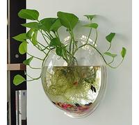 Wall Mounted Flower Pot - 5.9'' Clear Acrylic Round Vase Decoration,Wall Hanging Mount Fish Bowl Aquarium Decorative Plant Pot Hanging Hydroponic Pot Transparent 15cm