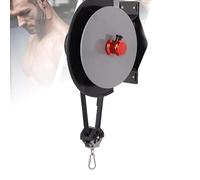 Wall-Mounted Flywheel Trainer Centrifugem,Variable Resistance Centrifuge Pully Trainer,Fitness Strength Training Equipment for Home Office Workout,Leg and Arm Training