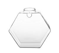 Wall-Mounted Glass Vase for Hydroponic Plants | Hanging Propagation Station for Indoor Home & Office Decor | Clear Glass Planter for Flower, Succulent, and Air Plant Display (Hexagram)