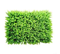 Wall Mounted Green Foliage Panel Featuring Plastic Construction for Indoor Outdoor Decor in Home Office and Hospitality Areas (#2)