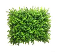 Wall Mounted Green Foliage Panel Featuring Plastic Construction for Indoor Outdoor Decor in Home Office and Hospitality Areas (#3)