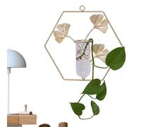 Wall Mounted Hydroponic Glass Vase | Glass Containers for Hydroponic Plants with Metal Frame | Decorative Plants Container Art Decoration