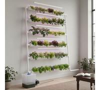 Wall-Mounted Hydroponic Grow Kit, 1 Layers 36 Plant Sites 4 Food-Grade PVC-U Pipes Hydroponics Planting System with Water Pump, Pump Timer, Nest Basket and Sponge for Leafy Vegetables