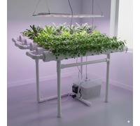Wall Mounted Hydroponic System 36 Slots NFT Garden with Timer Pump PVC Pipes Indoor Outdoor Leafy Green Growing Kit for Home Office Kitchen Herb Vegetables Planting Station