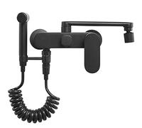 Wall Mounted Kitchen Faucet with Spray Gun Hot and Cold Water Swivel Double Hole Kitchen Faucets Black-30cm (Color : 20cm)