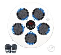 Wall Mounted Music Boxing Pad, Wall-Mounted Boxing Game | Wireless Music Boxing Target Trainer with Gloves - Speed Adjustable Smart Training Machine for Home Gym, Men, Women, Adults, Teens,
