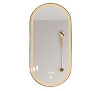 Wall Mounted Oval Mirror with LED Lighting for Bathroom Vanity, Shaving, and Home Decor in Living Room, Bedroom, or Entrance Hall