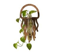 Wall Mounted Propagation Station - Jellyfish Wood Room Decoration,Hydroponics Plants Wall Vase,for Gardeners Beginners Home Office Living Room Kitchen Bathroom Bedroom Balcony