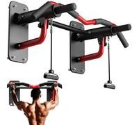 Wall Mounted Pull Up Bar with Dip Station for Home Gym Workout