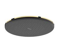 Wall Mounted Shower Head Hansgrohe Raindance Alive S 300, 1 Spray 300x56x300mm Polished Gold Optic 24520990