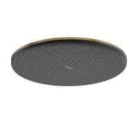 Wall Mounted Shower Head Hansgrohe Raindance Alive S 300, 1 Spray, EcoSmart 300x56x300mm Brushed Bronze 24521140
