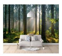 Wall Mural 3D Effect Forest Plants, Trees, Dawn Sunlight 100x70cm Self-Adhesive Wallpaper Large Sticker Decor Print Picture Image Design Photo Art