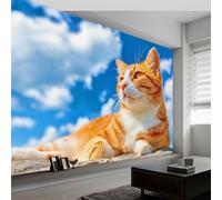 Wall Mural Blue Sky White Clouds Photo Wallpaper 500W x 280H cm, Cartoon Animal Ginger Cat Non-Woven Mural Decoration Poster Picture Modern Design - Wall Art for Living Room Kids Bedroom