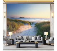 Wall Mural Colorful Non-Woven Wallpaper - Nature Meadow Beach Path Wall Decoration, Not Peel and Stick, Easy to Install, Perfect for Living Room & Bedroom, 300 x 210 cm (W x H)