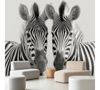 Wall Mural Minimalist Modern Photography, Large Panoramic Non-Woven Wallpaper, Animal Zebra Texture Photo Mural for Living Room & Bedroom 200 x 140 cm