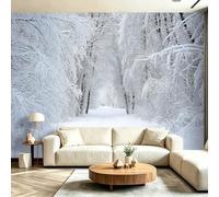 Wall Mural Minimalist Winter Non-Woven Natural Forest Snow-Covered Path Custom Photo Wallpaper Poster for Living Room Children's Room, 300 x 210 cm 3D Wall Art Home Backdrop Decoration,White