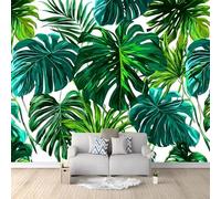 Wall Mural Monstera Deliciosa Tropical Plant Jungle Print for Kids Room 250 x 175 cm, Eco-Friendly Waterproof Wallpaper Photo Mural Wall Decor for Nursery Bedroom Playroom Wall Covering Green
