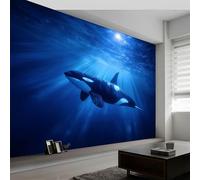 Wall Mural Nature Photography Photo Wallpaper 450W x 280H cm, Underwater Animals Whale Non-Woven Mural Wall Art Decoration Poster Picture Design - Wallpaper Modern for Kids Room Living Room Bedroom