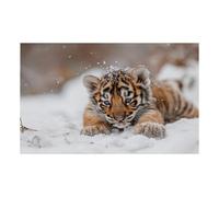 Wall Mural Orange Tiger Snow Bedroom Wallpaper Non-Woven Silk Cloth Removable Wall Paper for Home Decoration TV Backdrop Hallway Living Room Wallpaper 300x240cm