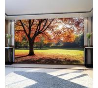 Wall Mural Park Trees Wallpaper 350 x 256 cm Autumn Scenery Non-Woven Indoor Wall Mural for Living Room Bedroom