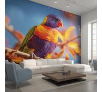 Wall Mural Rainbow Lorikeet Wallpaper - Modern Tropical Parrot Photo Wallpaper for Living Room Bedroom, Non-Woven Blue Yellow Wall Paper Home Decor Art 450x315 cm w6g7