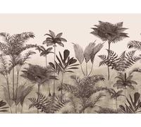 Wall mural Rasch Jungle Plants Ferns grey Beige Lirico 556261 (19,52£/1qm)