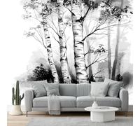 Wall Mural Traditional Chinese Ink Painting Birch Trees Landscape Print Photo Wallpaper 400 x 280 cm Non-Woven Premium Wall Mural for Living Room Kids Bedroom Decoration Poster Black and White Gray