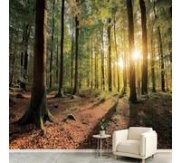 Wall Mural Wallpaper Natural Forest Landscape 400 x 280 cm Non-Woven Panoramic Custom Photo Wallpaper Poster for Living Room Children's Room & Corridor Bedroom - Sunlight Woodland Grassland Plants