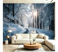Wall Mural Winter Forest Non-Woven Modern Forest White Snow Path Custom Photo Wallpaper Poster for Living Room Children's Room, 350 x 256 cm 3D Wall Art Home Backdrop Decoration,White