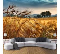 Wall Murals, Countryside Wheat Fields Countryside Landscape Photo Wallpaper, 350x256cm (WxH) Large Photo Wallpaper Gold Poster for Living Room Bedroom Restaurant Office Background Decorative